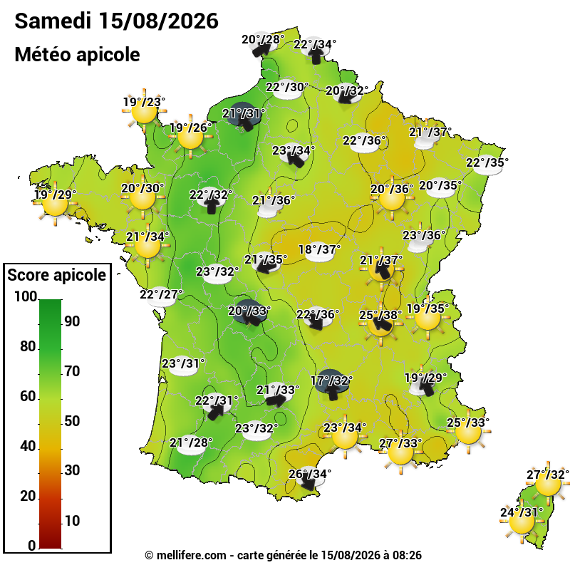 Carte des scores abeilles 15/08