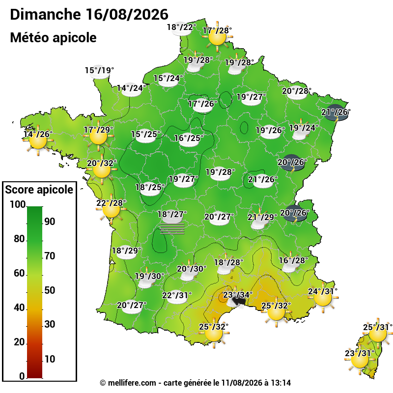 Carte des scores abeilles 16/08
