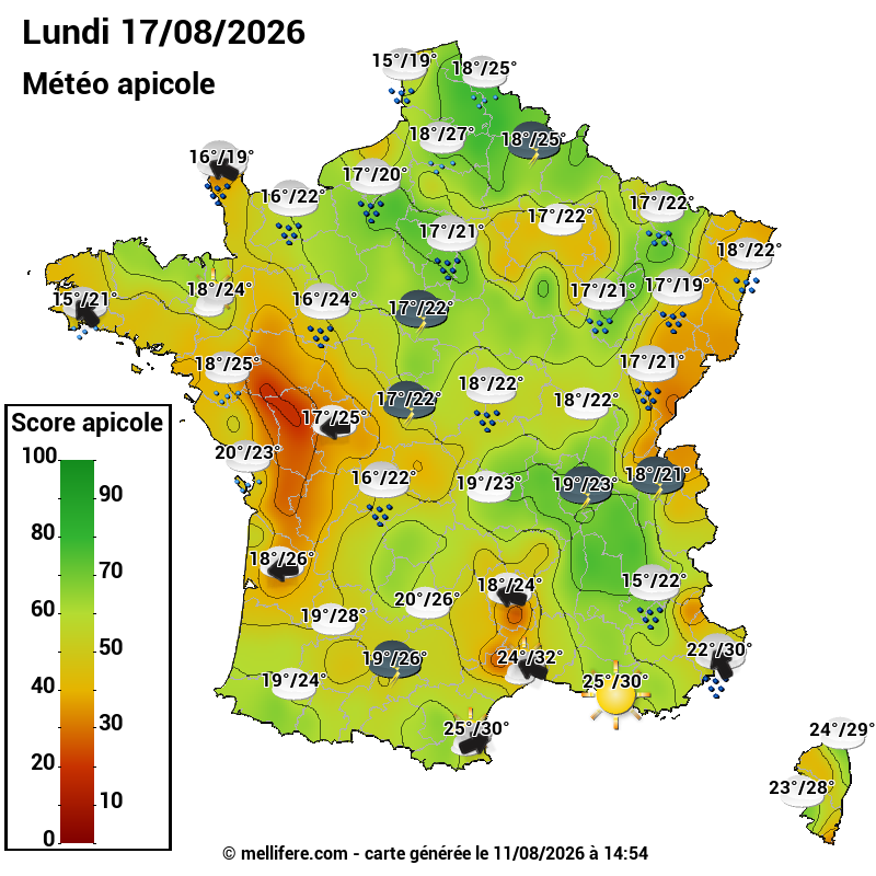 Carte des scores abeilles 17/08