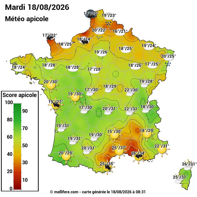 Carte des scores abeilles 18/08