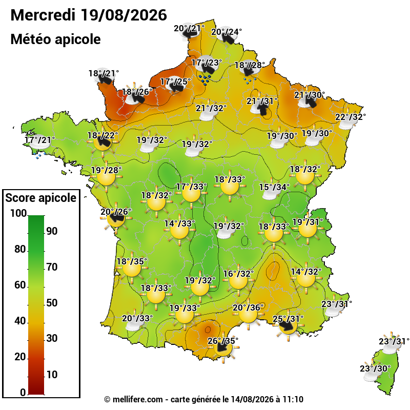 Carte des scores abeilles 19/08