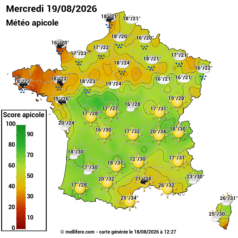 Carte des scores abeilles 19/08