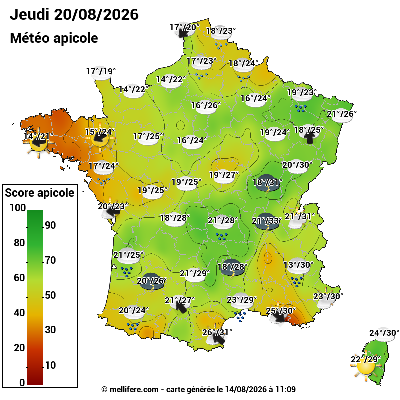 Carte des scores abeilles 20/08