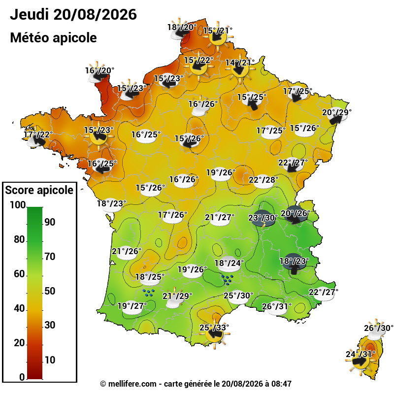 Carte des scores abeilles 20/08