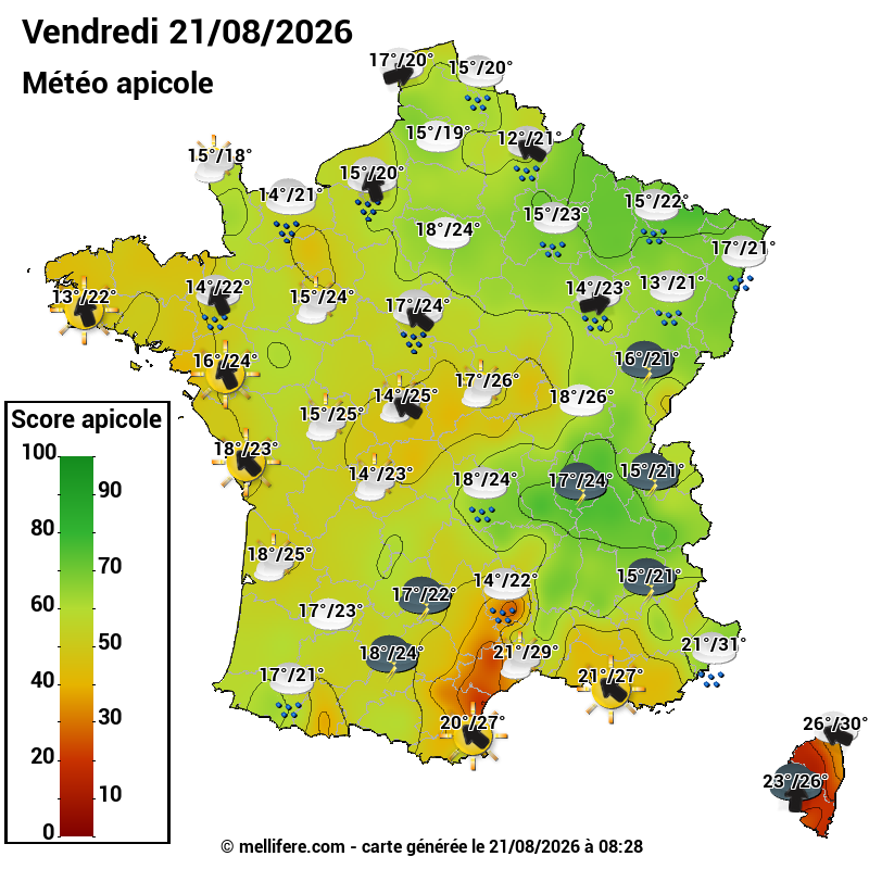 Carte des scores abeilles 21/08