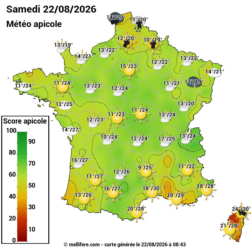 Carte des scores abeilles 22/08