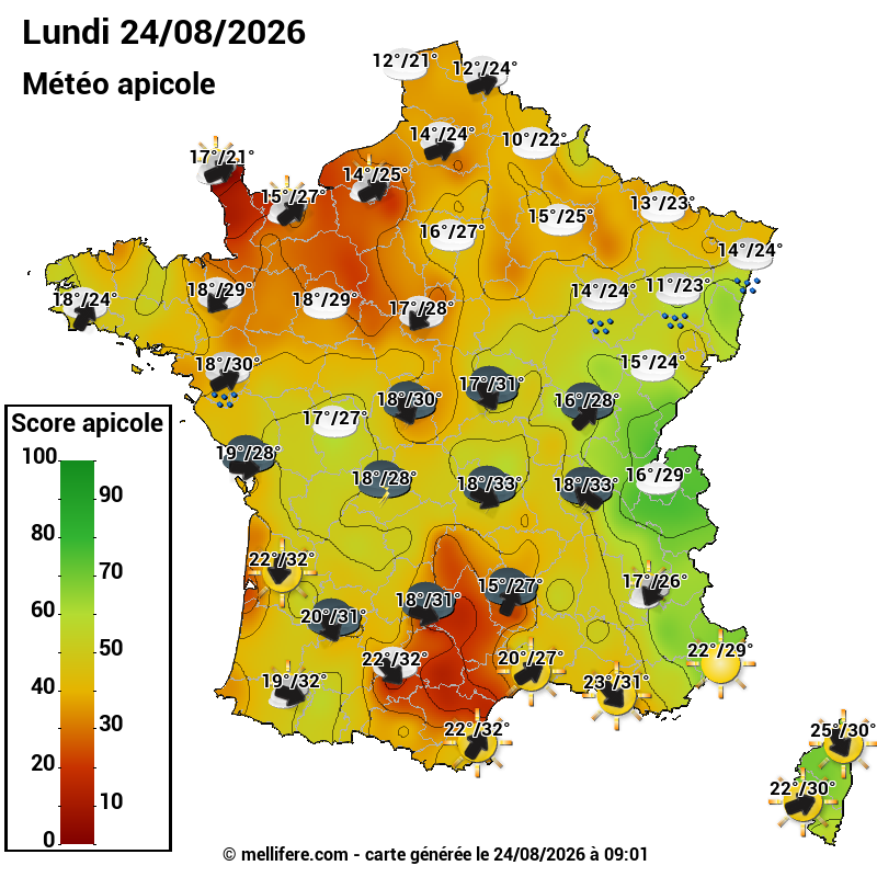 Carte des scores abeilles 24/08