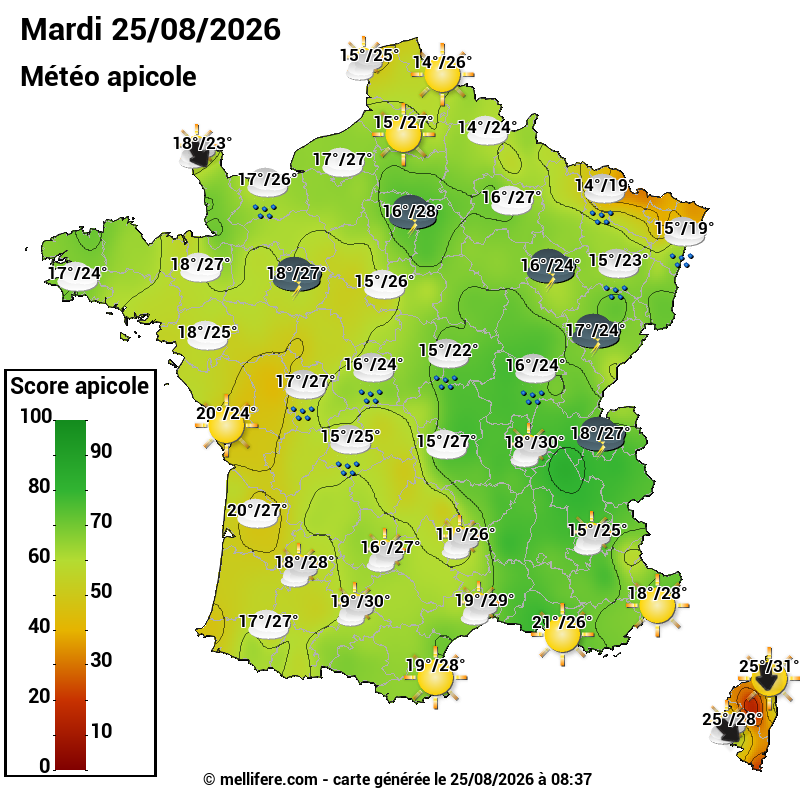 Carte des scores abeilles 25/08