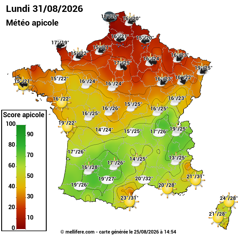 Carte des scores abeilles 31/08