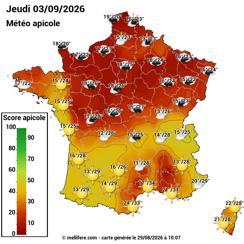 Carte des scores abeilles 03/09