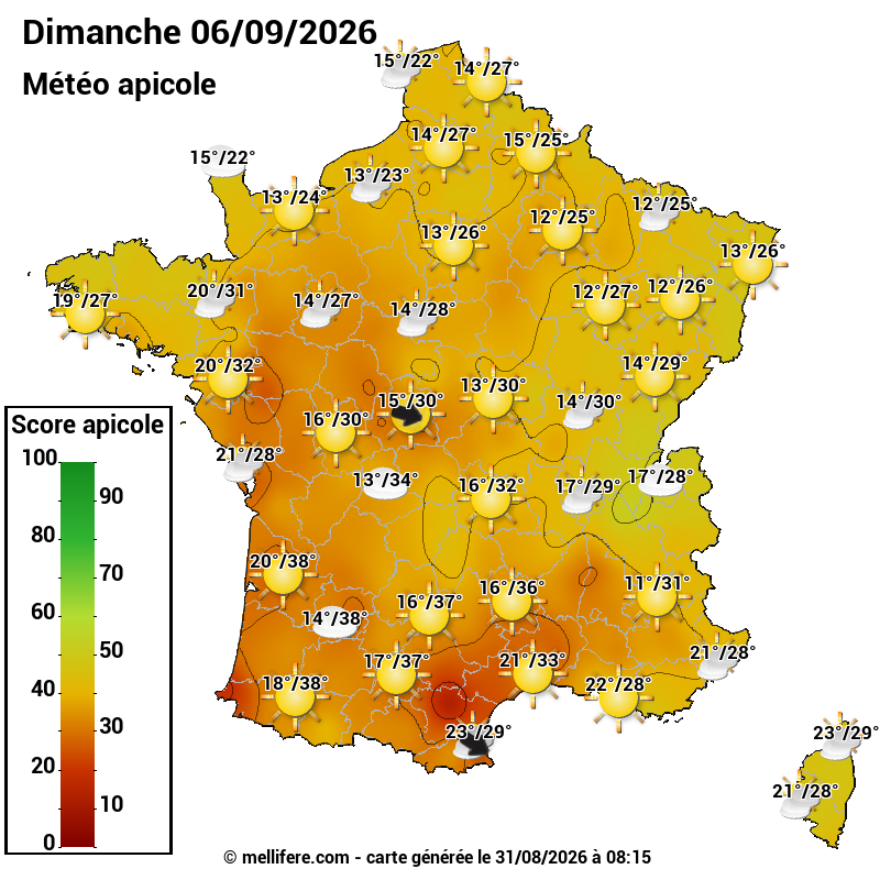 Carte des scores abeilles 06/09