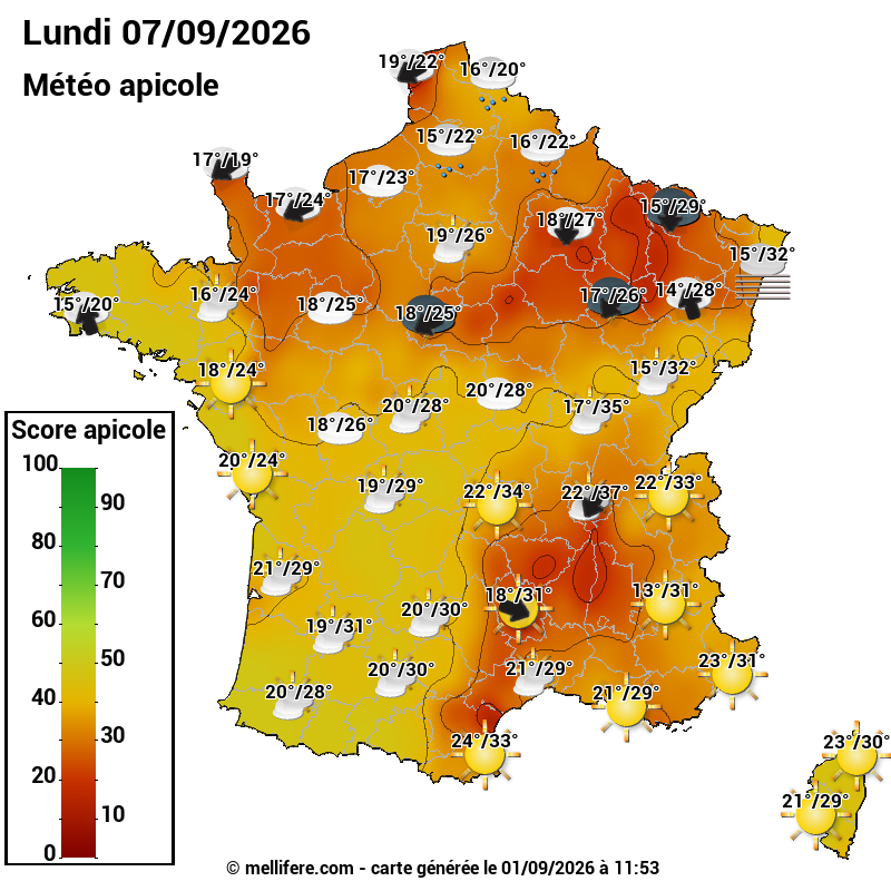 Carte des scores abeilles 07/09