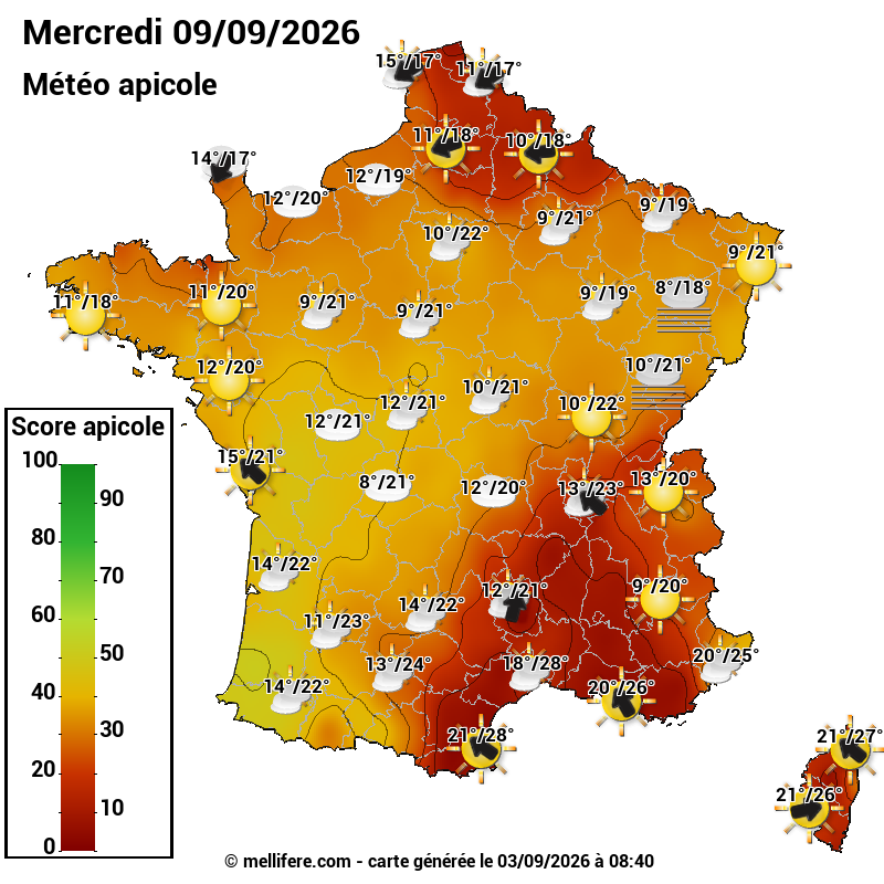 Carte des scores abeilles 09/09