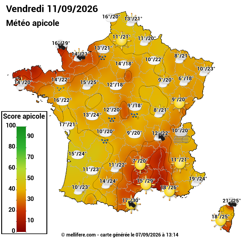 Carte des scores abeilles 11/09