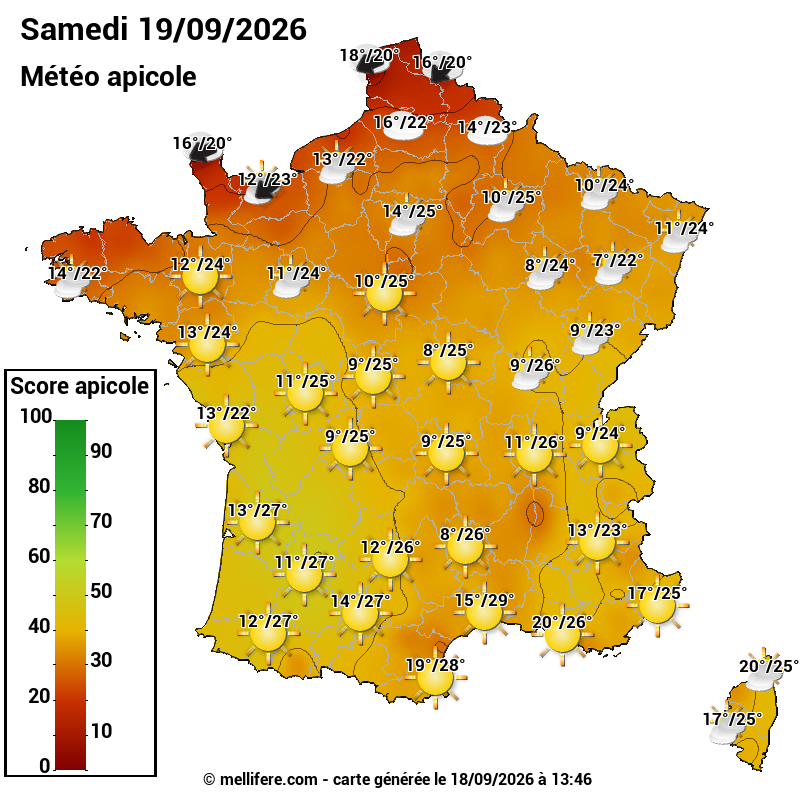 Carte des scores abeilles 19/09
