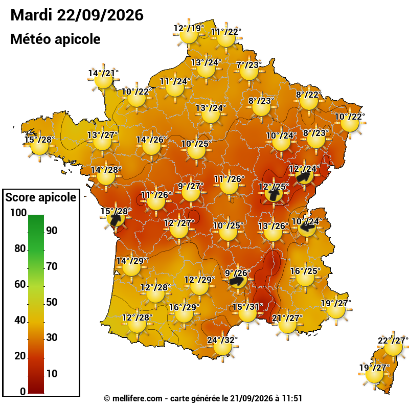 Carte des scores abeilles 22/09