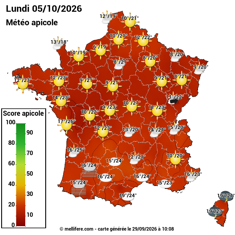 Carte des scores abeilles 05/10