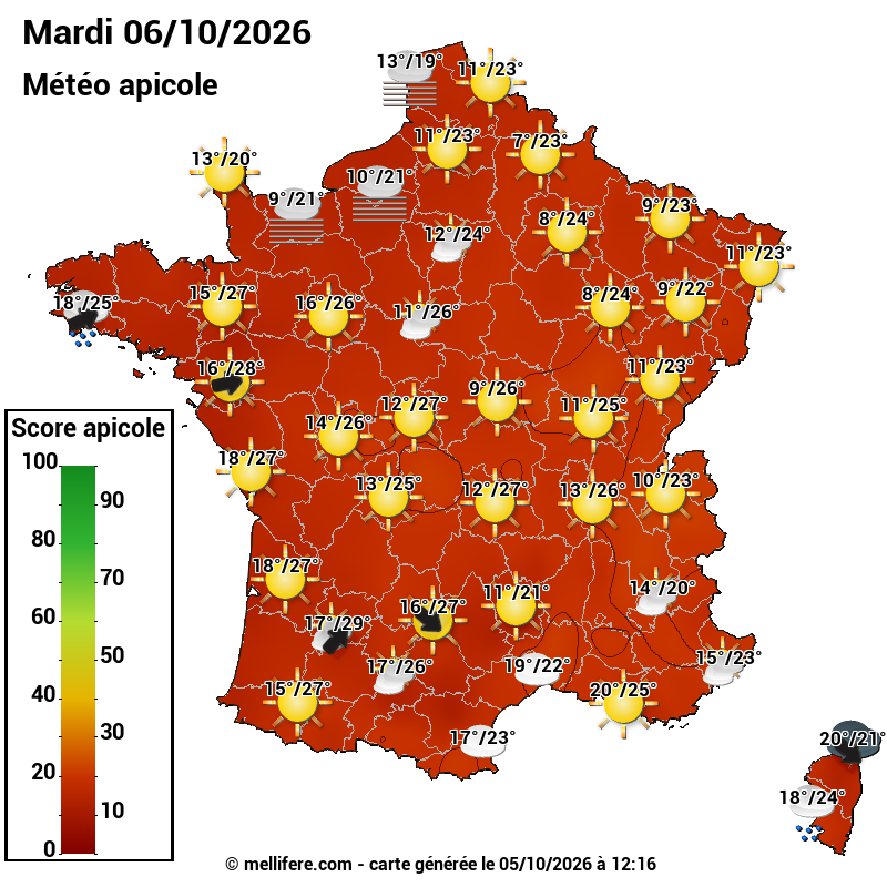 Carte des scores abeilles 06/10