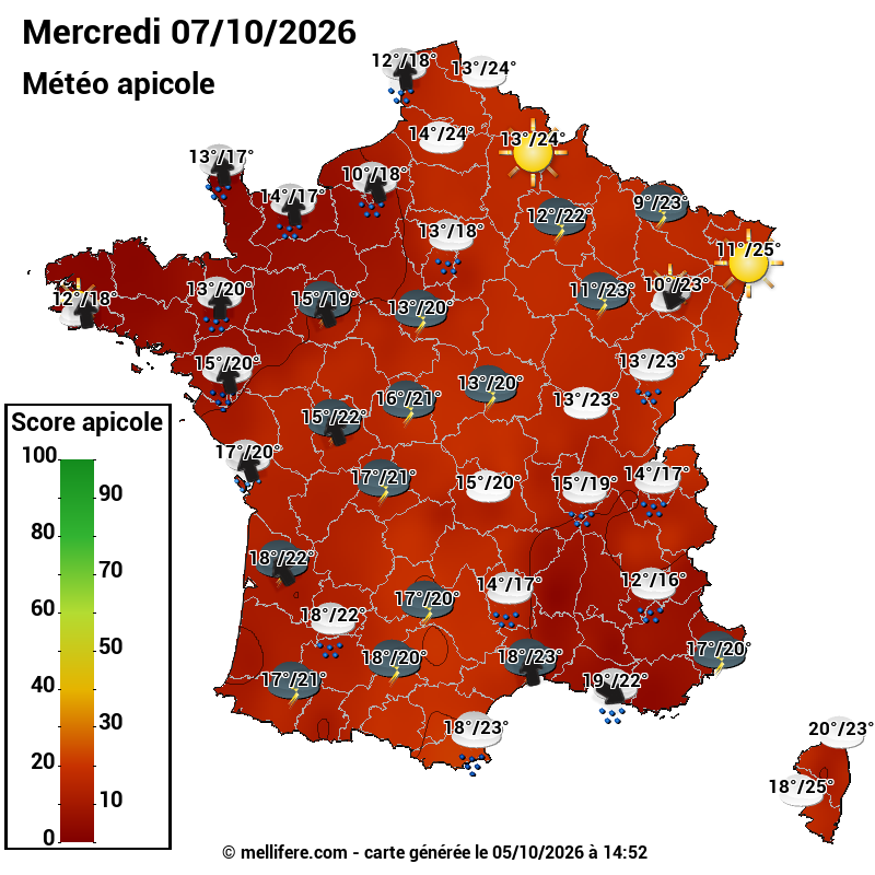 Carte des scores abeilles 07/10