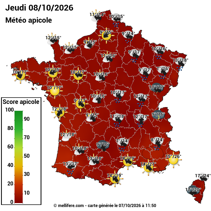 Carte des scores abeilles 08/10