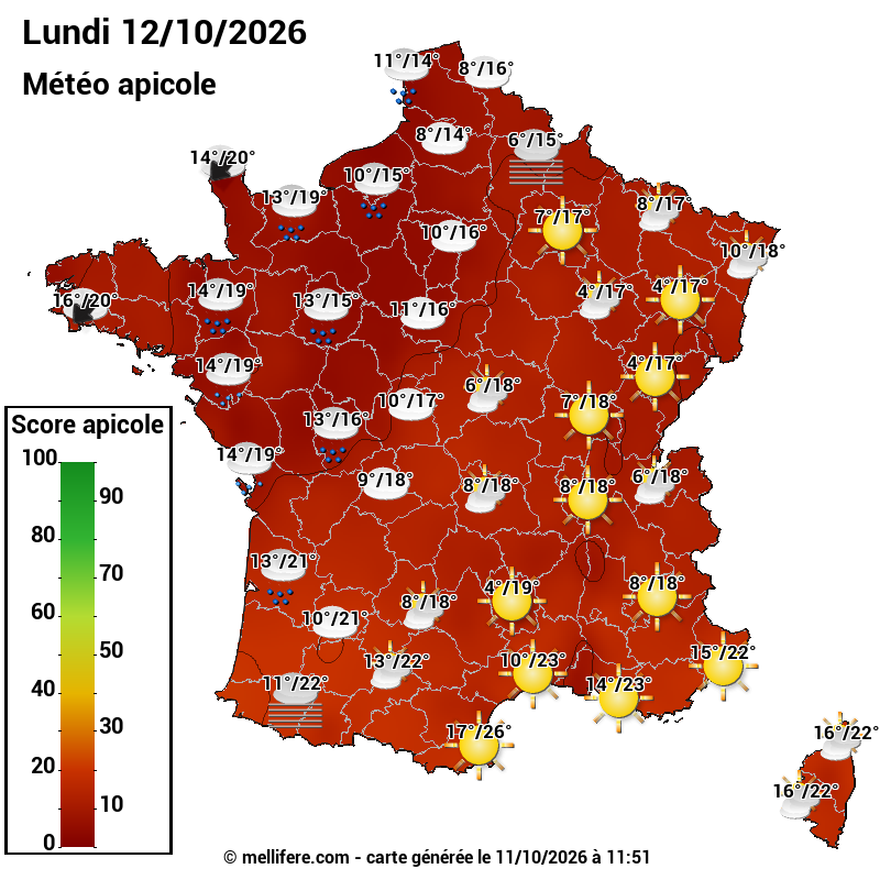 Carte des scores abeilles 12/10