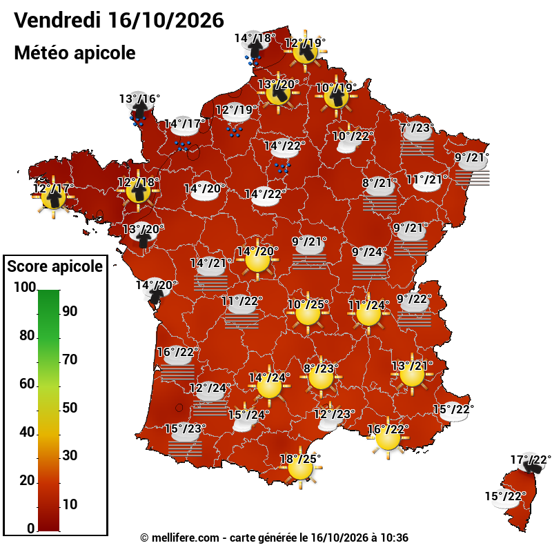 Carte des scores abeilles 16/10