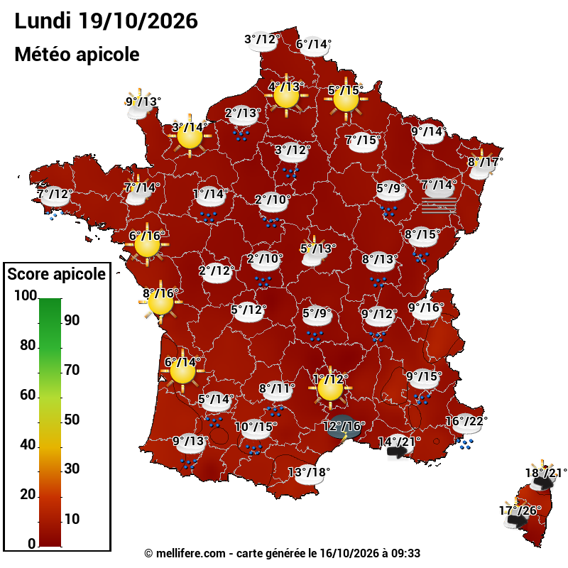Carte des scores abeilles 19/10