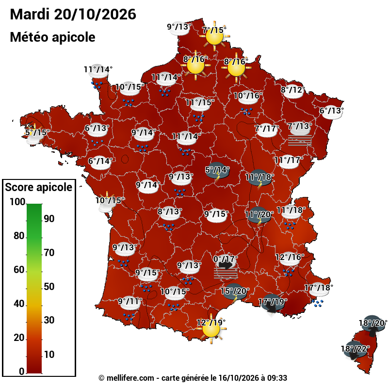Carte des scores abeilles 20/10