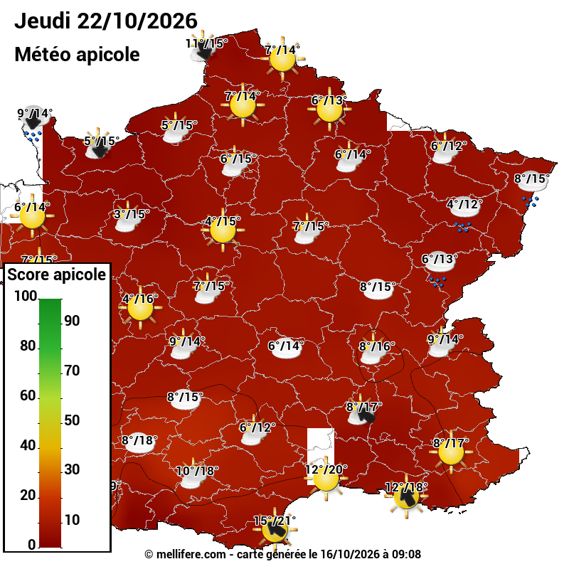 Carte des scores abeilles 22/10