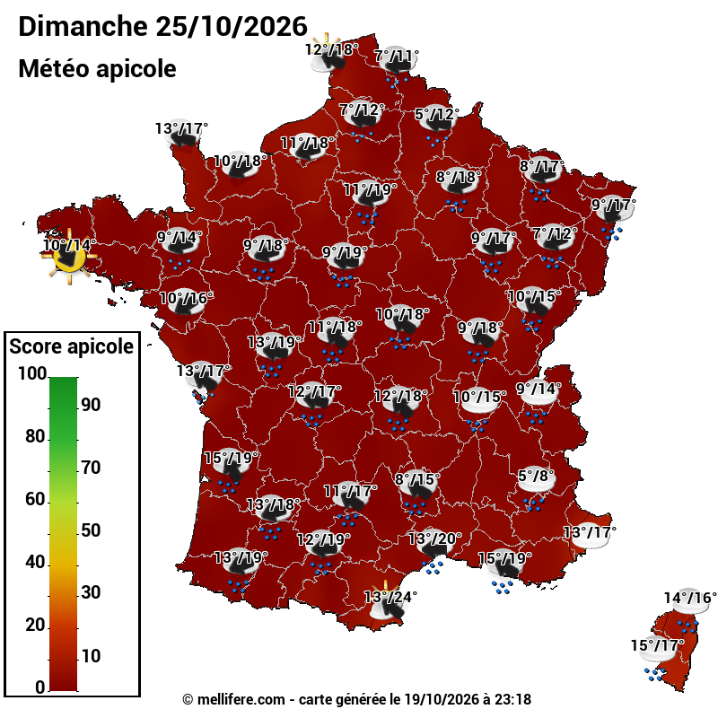 Carte des scores abeilles 25/10