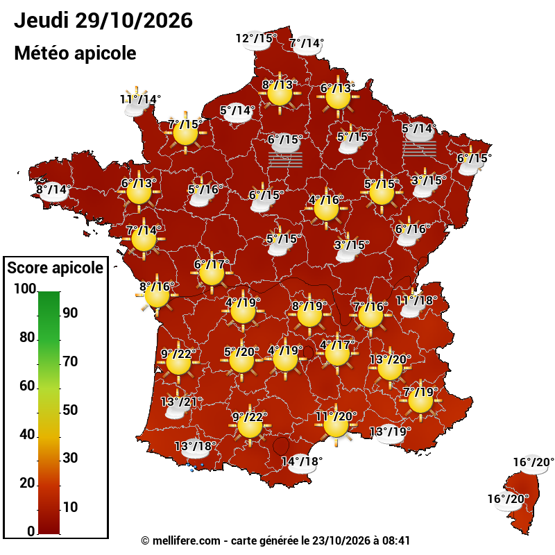 Carte des scores abeilles 29/10