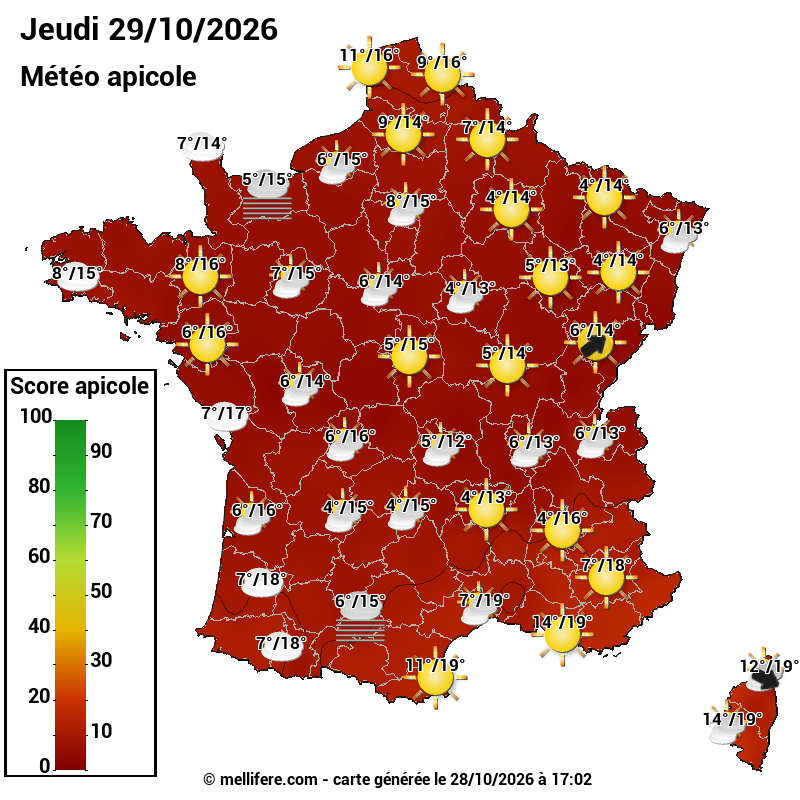 Carte des scores abeilles 29/10