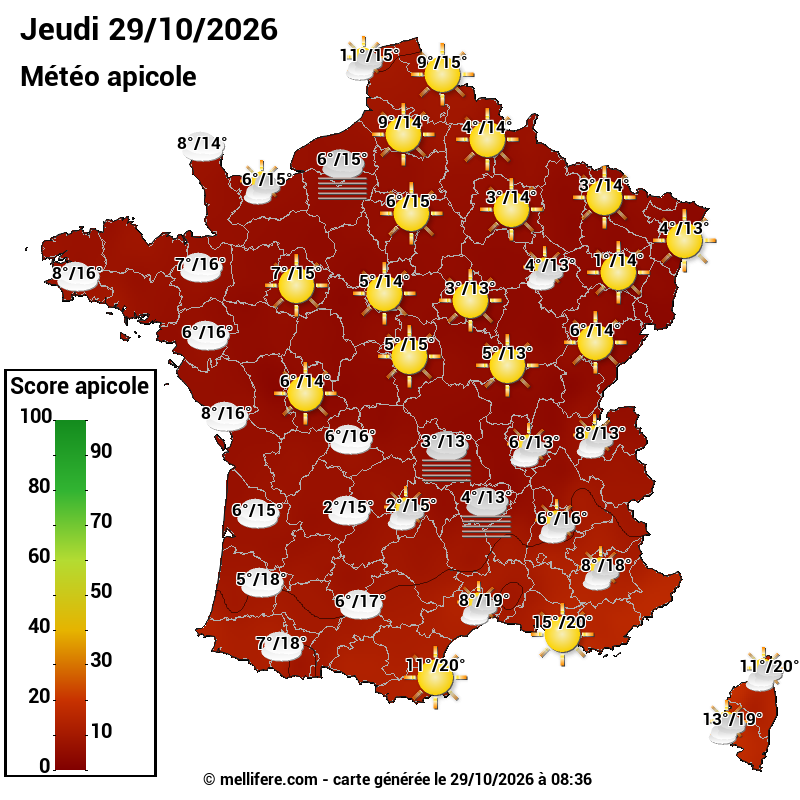 Carte des scores abeilles 29/10
