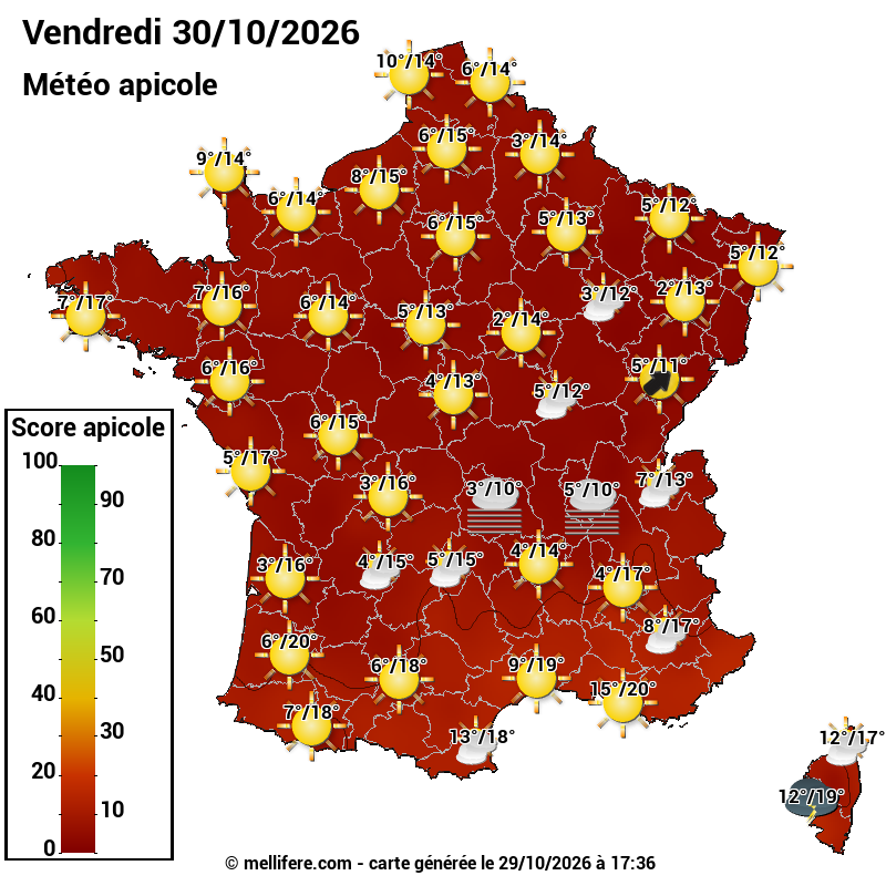 Carte des scores abeilles 30/10