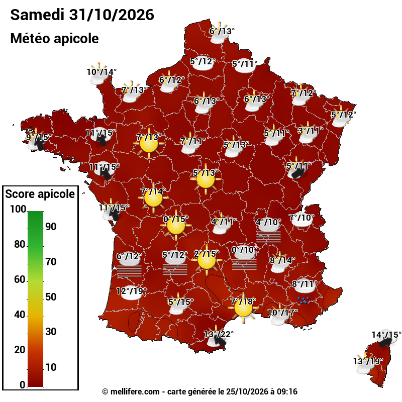 Carte des scores abeilles 31/10