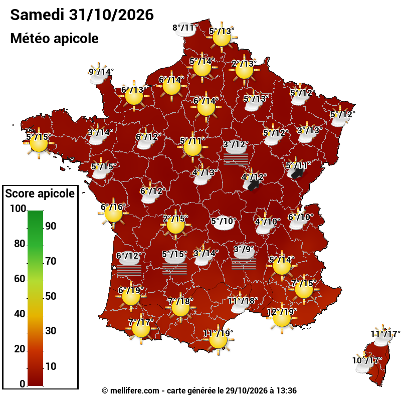 Carte des scores abeilles 31/10