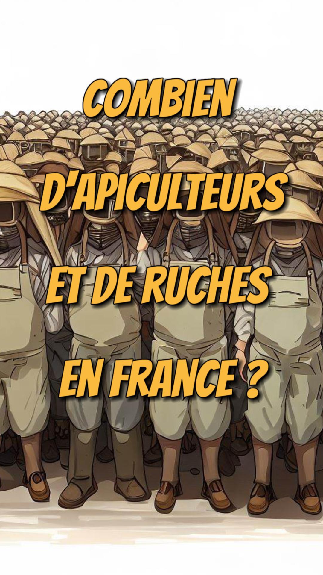 La vidéo Combien y a-t-il d’apiculteurs et de ruches en France ? de Mellifere.com