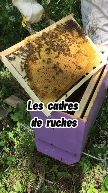 La vidéo Les cadres de ruches de Mellifere.com