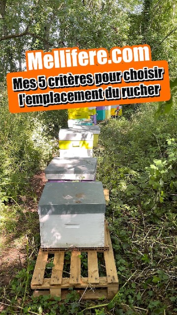Mes 5 critères de choix d'emplacement de rucher. Critère 1 : Proximité