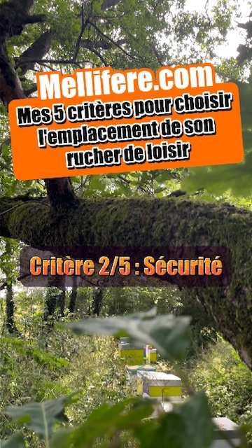 Mes 5 critères de choix d'emplacement de rucher. Critère 2 : Sécurité