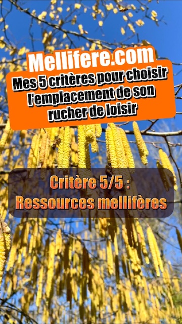 Mes 5 critères de choix d'emplacement de rucher. Critère 5 : Ressources