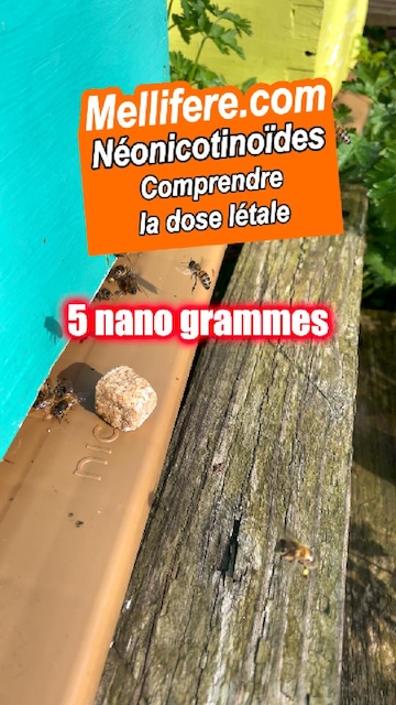 La dose létale des néonicotinoides pour les pollinisateurs