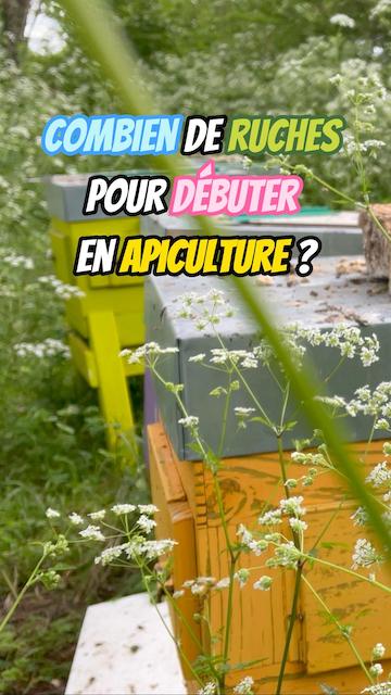La vidéo Combien de ruches pour débuter en apiculture de loisir ? de Mellifere.com