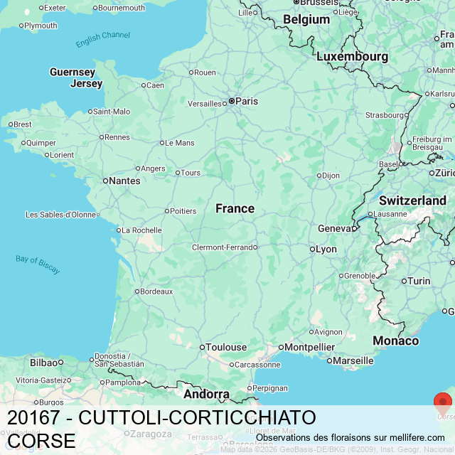 Les observations mellifères participatives à CUTTOLI-CORTICCHIATO ...