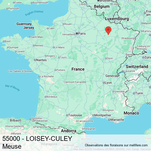Les observations mellifères participatives à LOISEY-CULEY (55000) dans ...