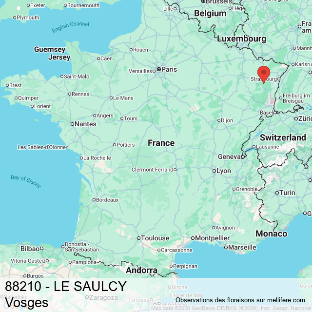 Les observations mellifères participatives à LE SAULCY (88210) dans les ...